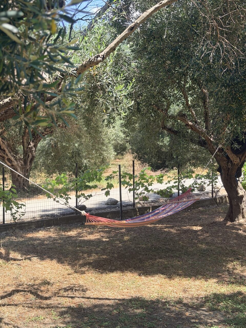 Garden & play