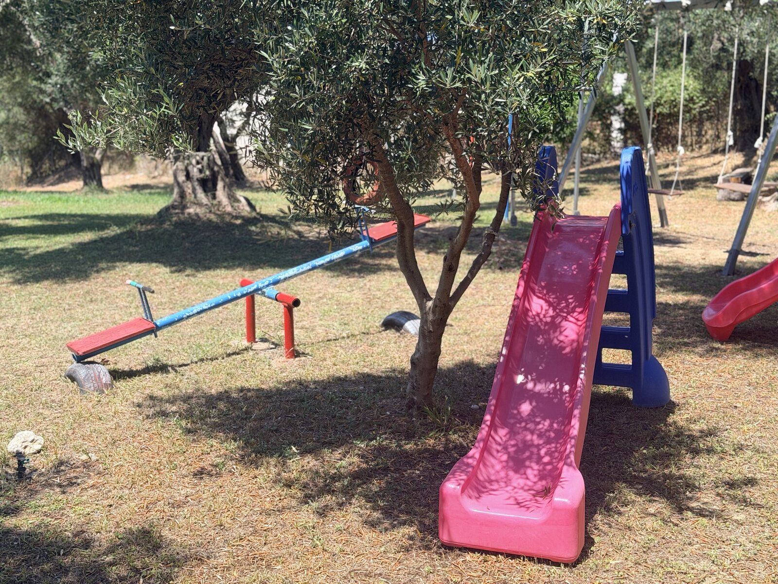 Garden & play